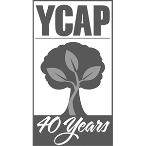 YCAP logo