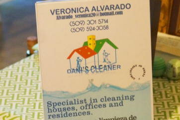 Dani's cleaner business card