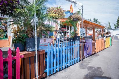 A colorful fence and tropical plants look reminiscent of latin america