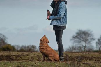 woman standing with dog for Doggie Zoom Zoom