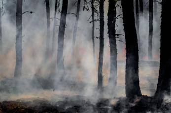 Pacific Northwest wildfire