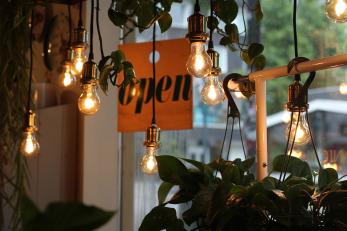 lights hang in a plant shop