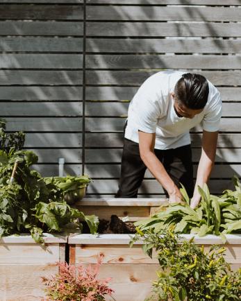 man working in garden